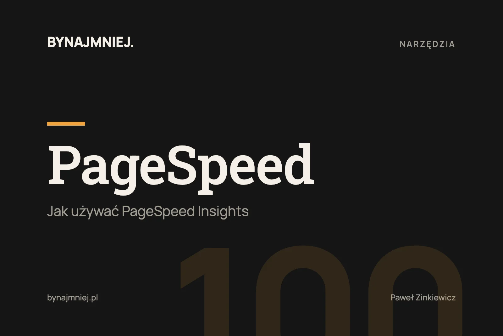 PageSpeed Insights: jak używać narzędzia